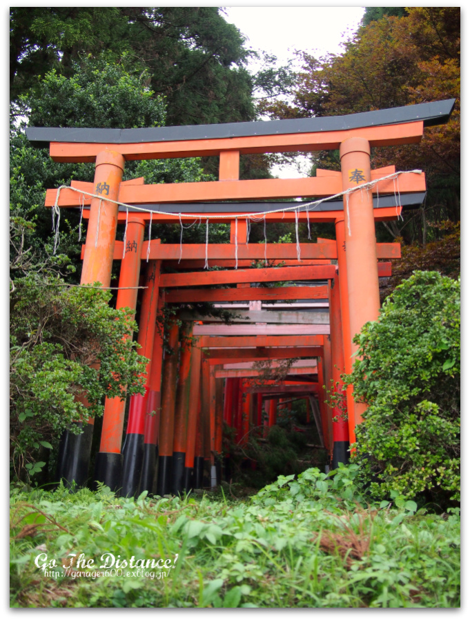 横須賀 田浦 白赤稲荷大神 参拝 Go The Distance 横須賀 田浦 白赤稲荷大神 参拝 Go The Distance