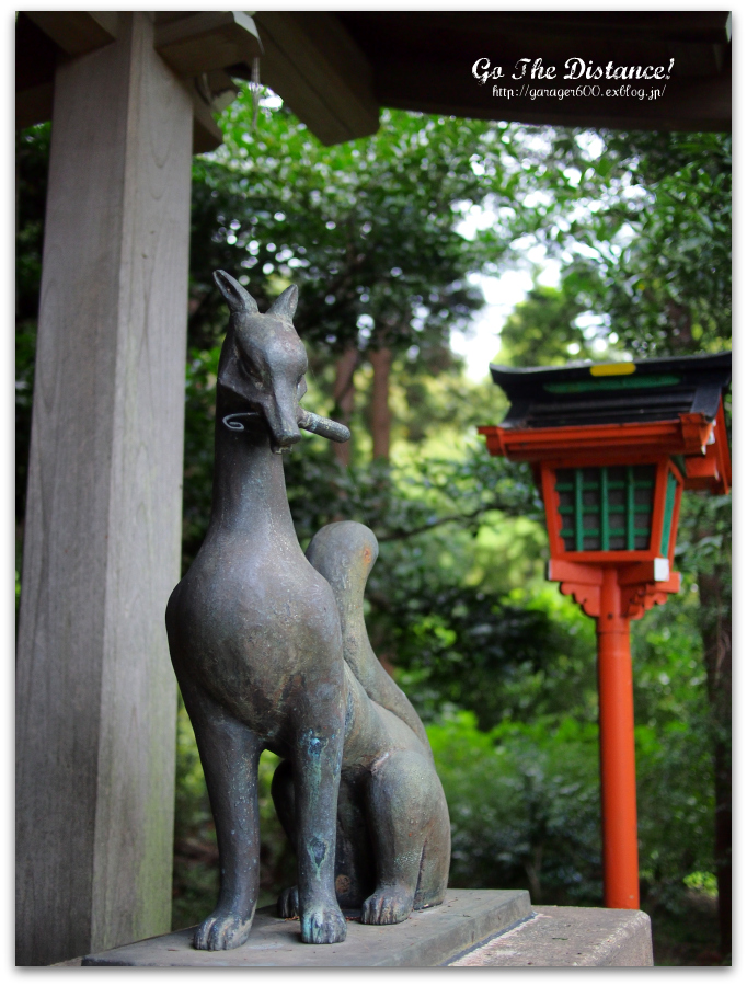 横須賀 田浦 白赤稲荷大神 参拝 Go The Distance 横須賀 田浦 白赤稲荷大神 参拝 Go The Distance