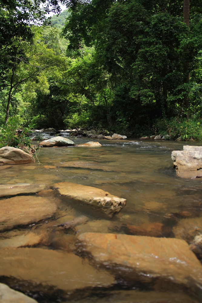 d0147002_402274.jpg