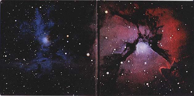 Picidae (ピッキデー) と King Crimson_e0081206_22554532.jpg