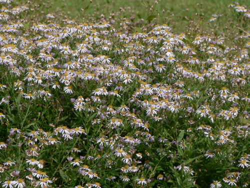 f0219710_822910.jpg