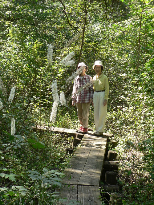 f0219710_8263753.jpg