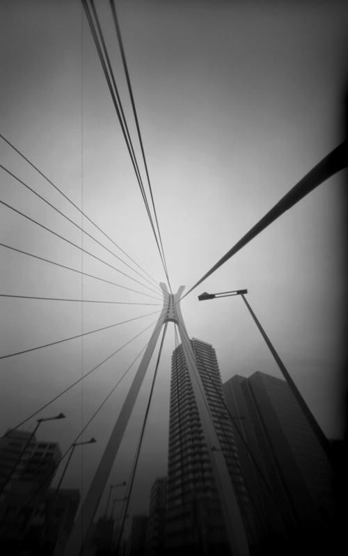 c0016712_836555.jpg