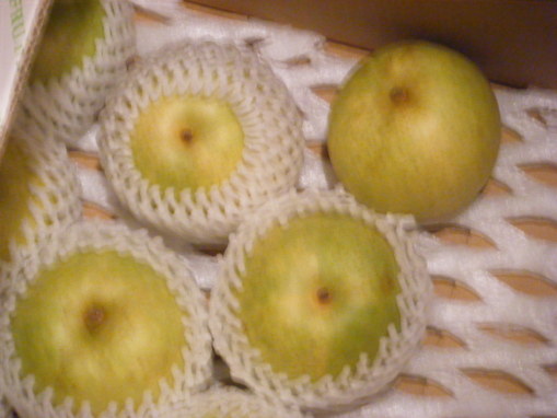 c0118715_2214588.jpg
