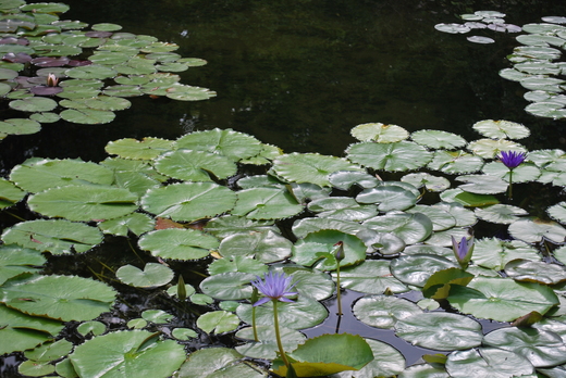 e0135518_1623218.jpg
