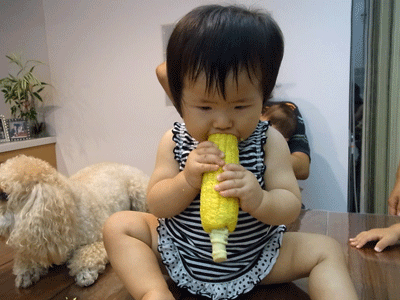 c0181921_12515835.gif