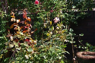 f0170524_122570.jpg