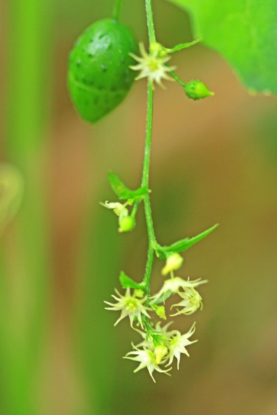 c0104227_10131040.jpg