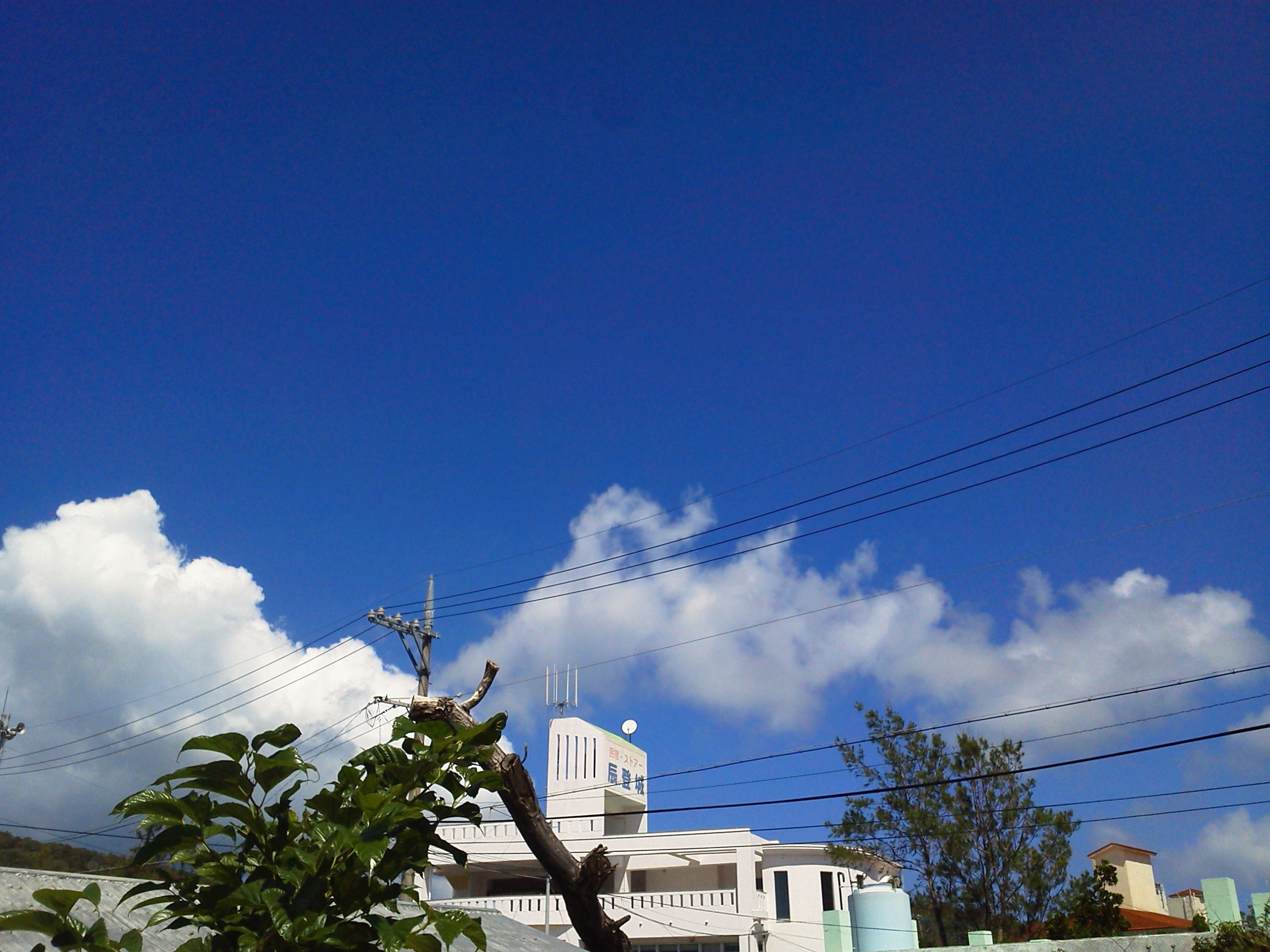 d0224927_23321394.jpg