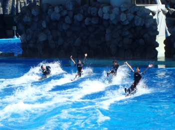 ♪水族館♪_f0129627_1138549.jpg