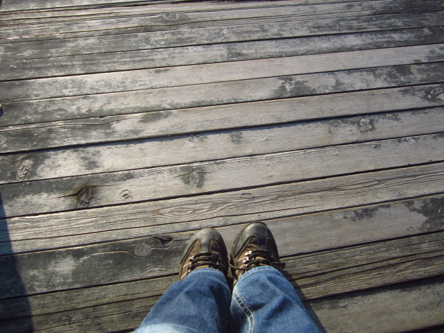 c0102228_203426100.jpg
