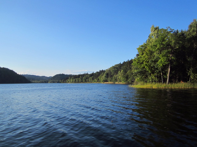 c0102228_203436.jpg