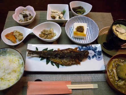 松茸、および雑キノコいろいろ_b0206037_18232137.jpg