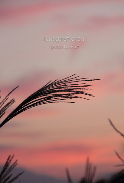 夕暮れグラデーション By 空倶楽部 きまぐれ 風音 Kanon 夕暮れグラデーション By 空倶楽部 きまぐれ 風音 Kanon