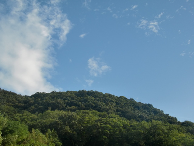 b0152548_16324529.jpg