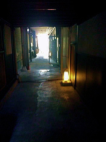 d0116249_22246.jpg
