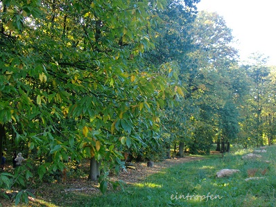 f0174549_584397.jpg