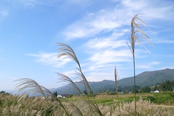 b0025850_0231097.jpg