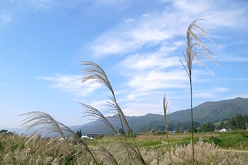 戸狩野沢温泉　朝の散歩　■３_b0025850_0231097.jpg