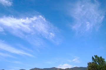 b0025850_0331088.jpg
