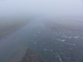 朝はどこも見えません_a0084753_120575.jpg
