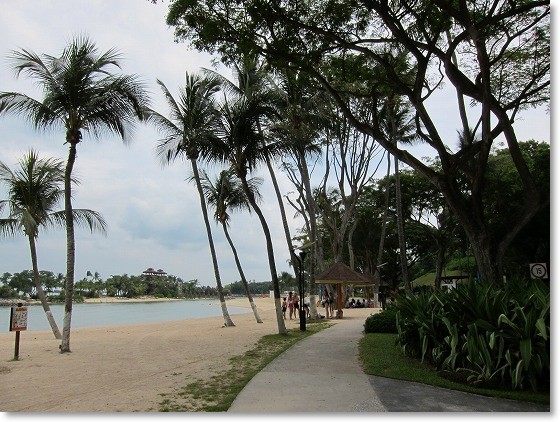 パラワンビーチを散策 まんぼトラベル