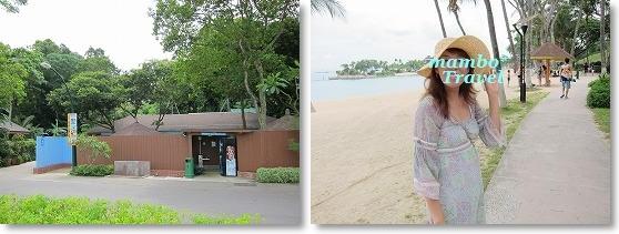 パラワンビーチを散策 まんぼトラベル