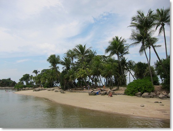 パラワンビーチを散策 まんぼトラベル