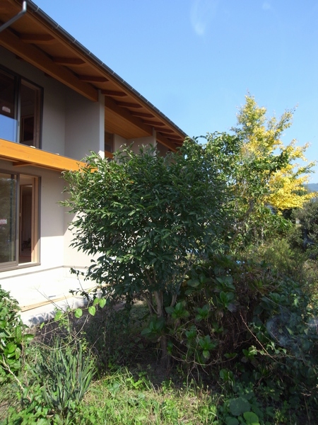 c0166668_2116777.jpg