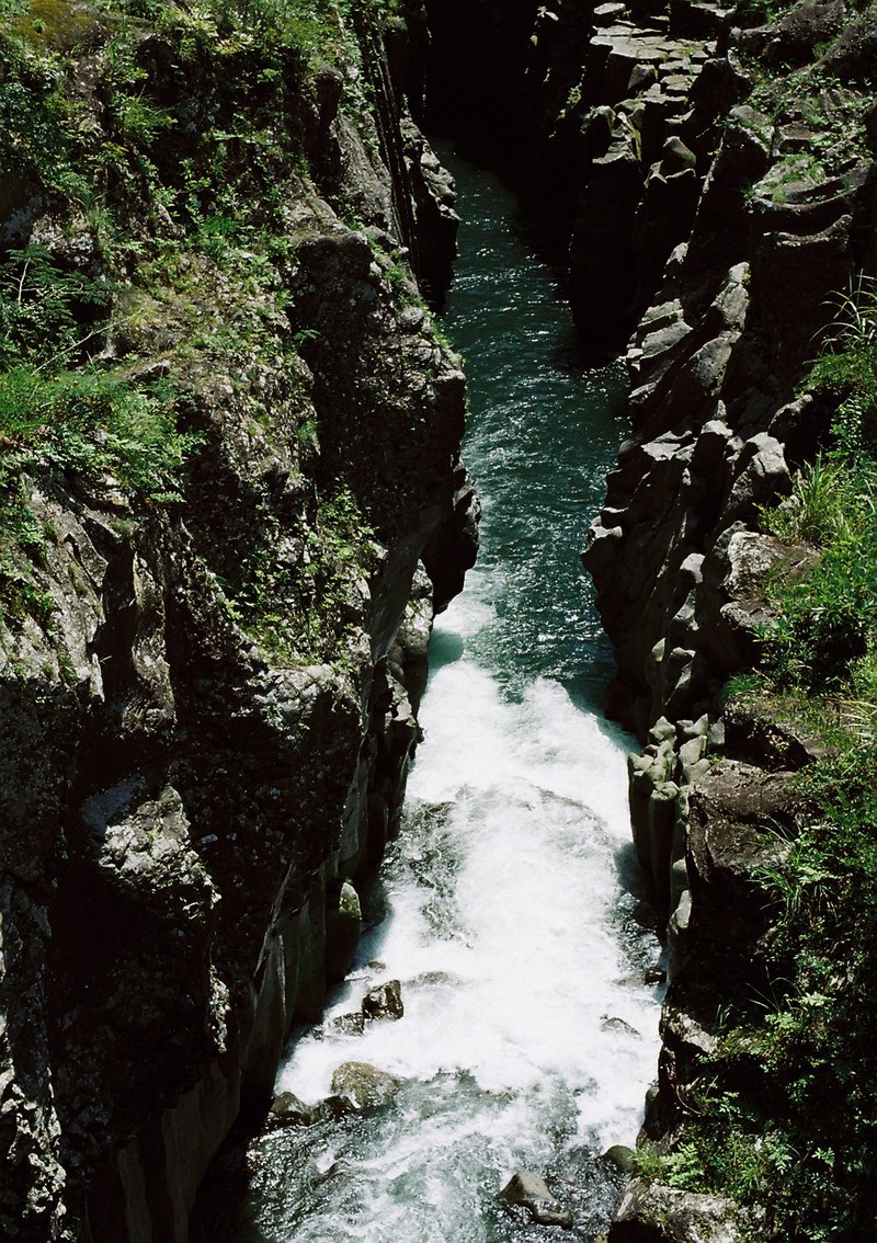 c0177576_15382763.jpg