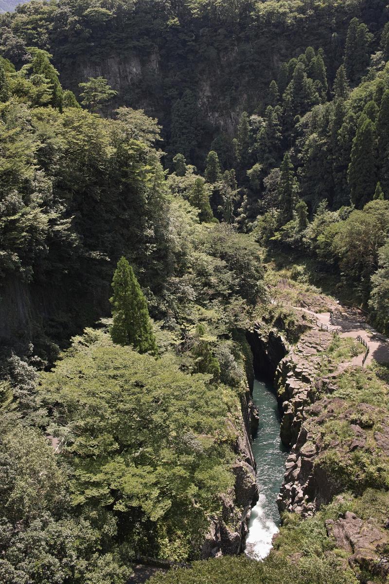 c0177576_15434241.jpg