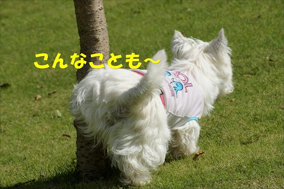 e0245080_2340216.jpg