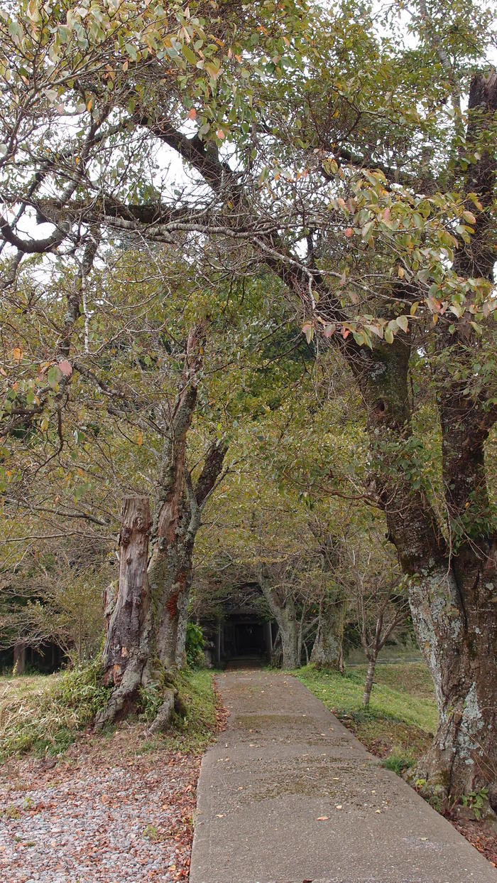 e0024081_21181583.jpg