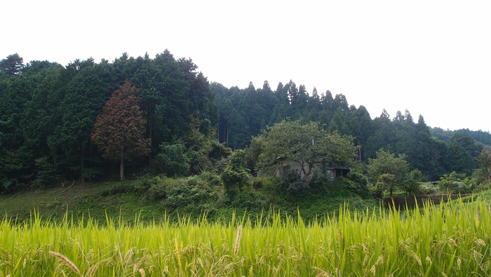 e0024081_2128462.jpg