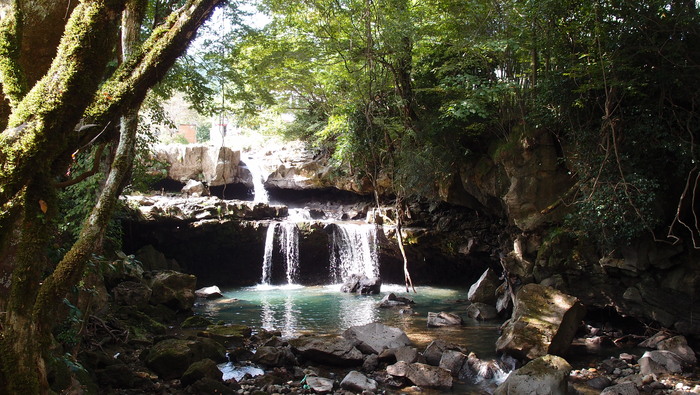 e0024081_21353171.jpg
