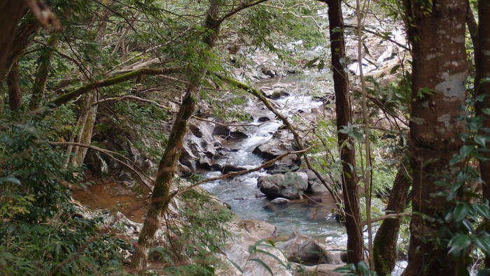 e0024081_21364710.jpg