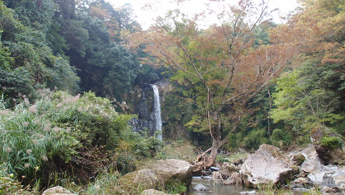 山エリア　♪ウォーキング日和♪　あれっ？_e0024081_2138356.jpg