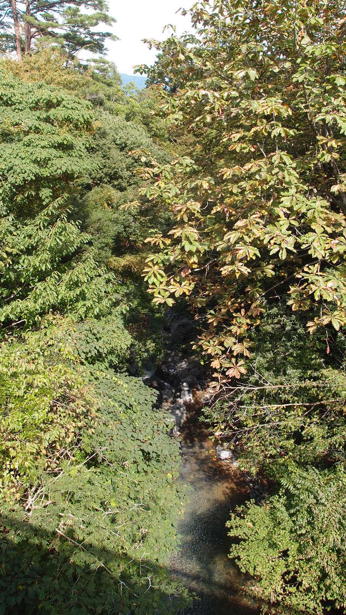 e0024081_21391356.jpg