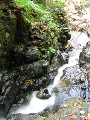 f0078286_8453991.jpg