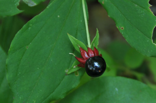 f0212586_204114.jpg