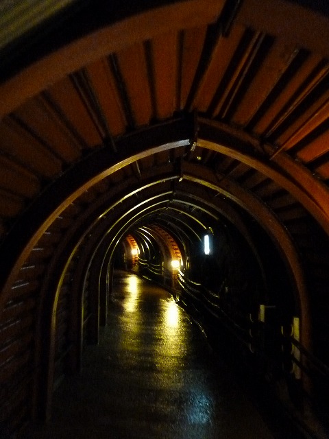 e0061694_0494719.jpg