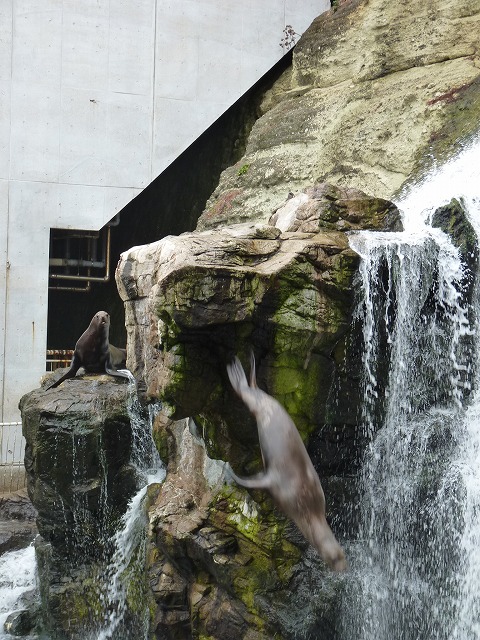 e0061694_112194.jpg