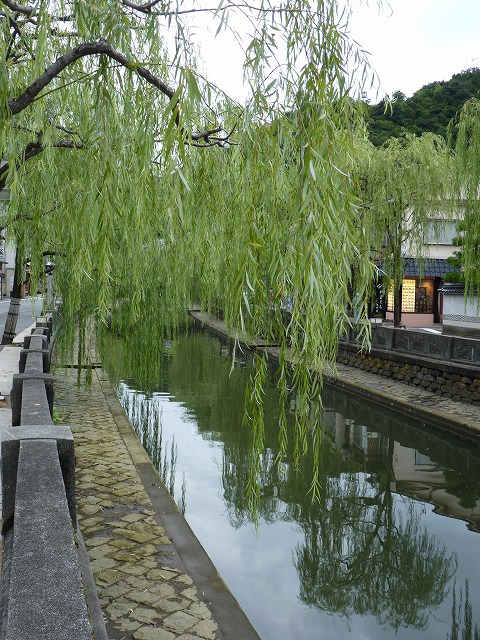e0061694_152533.jpg