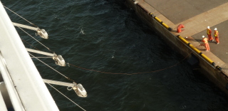 f0166694_22123497.jpg