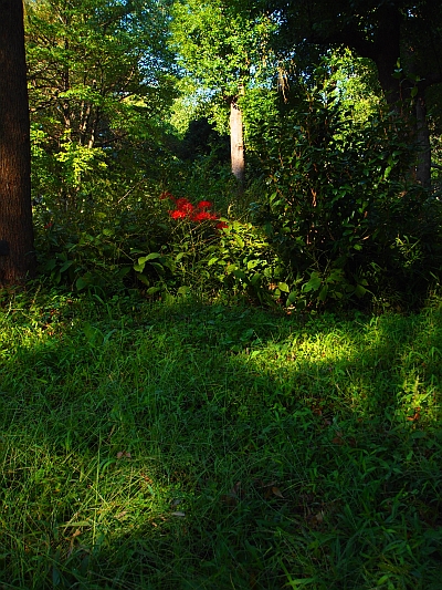 c0156908_86147.jpg