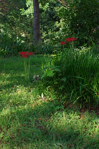c0156908_86598.jpg
