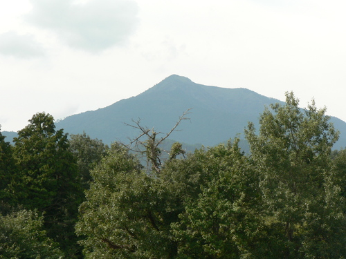 f0219710_814669.jpg