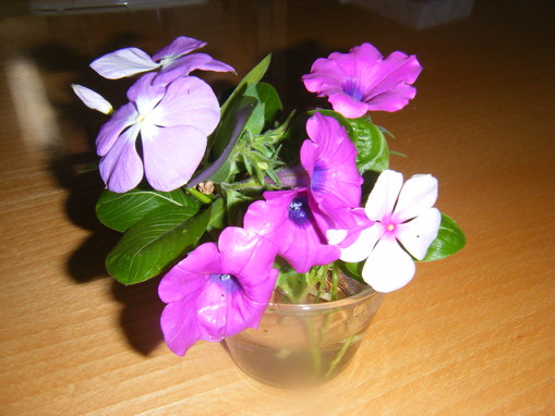 c0118715_21495345.jpg