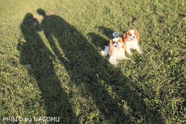 2011年 シルバーウィーク後半の前半〈富士山・甲斐駒ヶ岳・八ヶ岳〉_c0119819_1502988.jpg