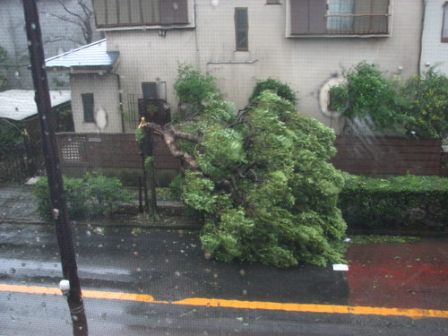 心躍るプレゼント_b0158721_2215319.jpg
